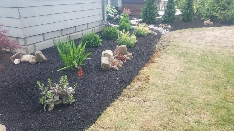 Garden Tear‑out – After