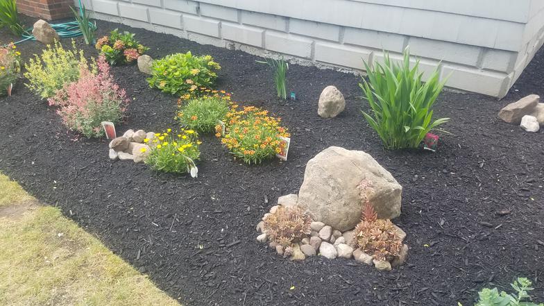 Garden Tear‑out – After