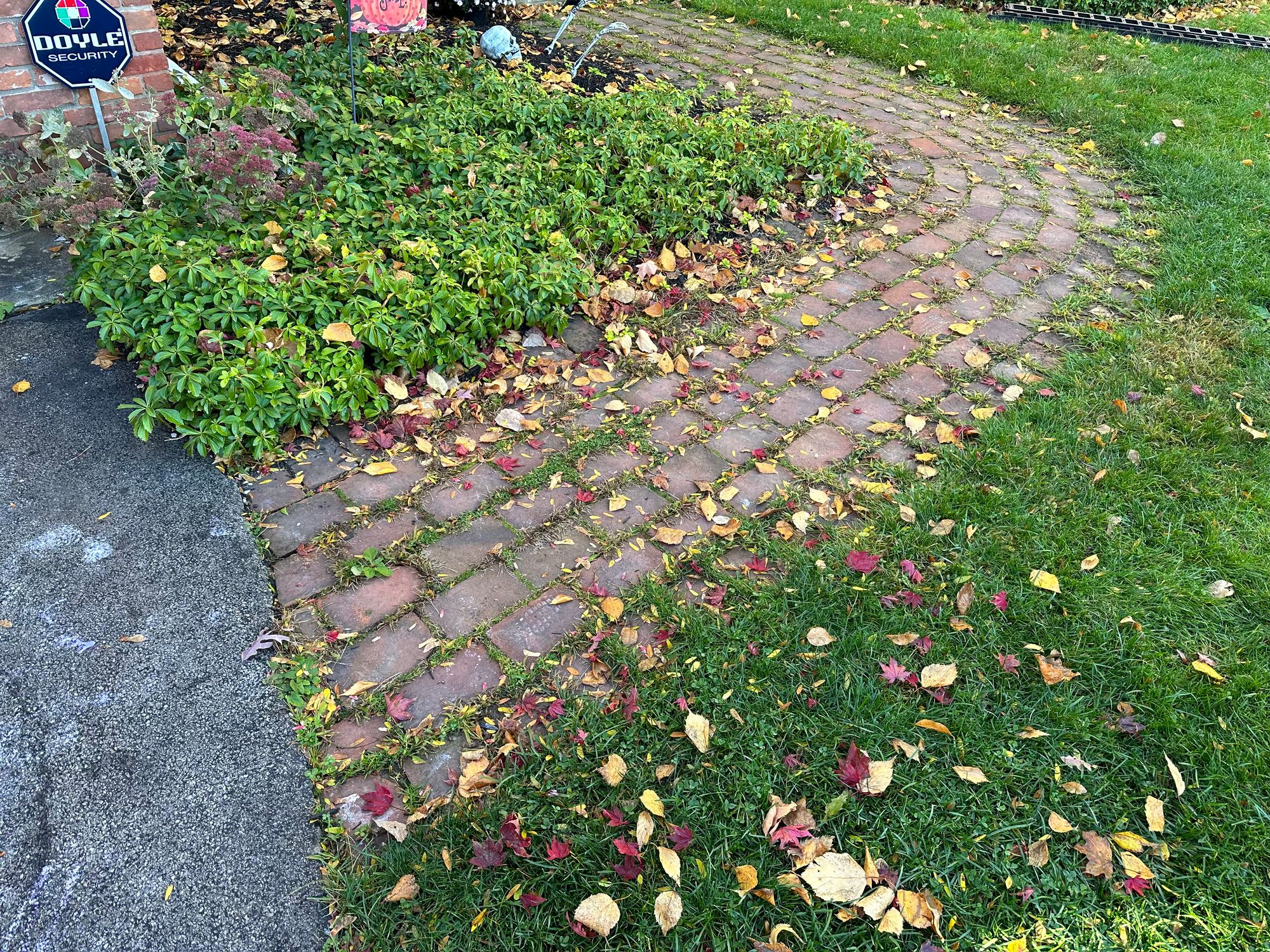 Walkway Renovation – Before